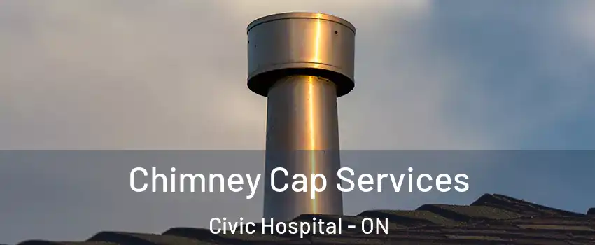  Chimney Cap Services Civic Hospital - ON