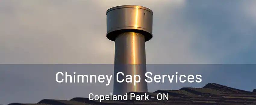  Chimney Cap Services Copeland Park - ON