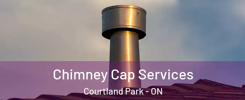  Chimney Cap Services Courtland Park - ON