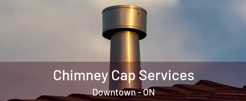  Chimney Cap Services Downtown - ON