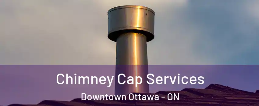  Chimney Cap Services Downtown Ottawa - ON