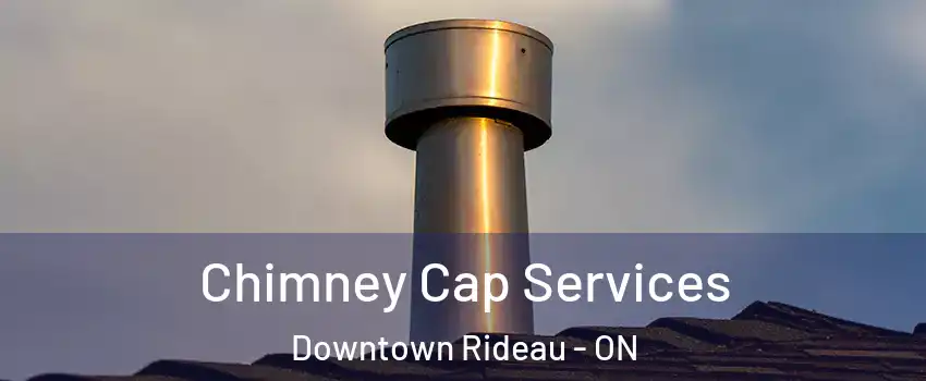  Chimney Cap Services Downtown Rideau - ON