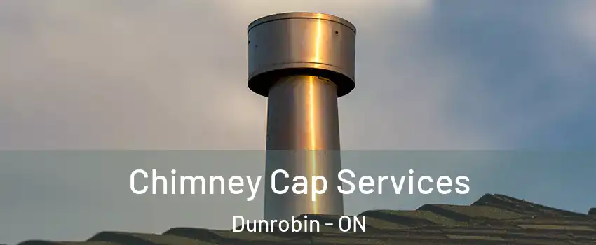  Chimney Cap Services Dunrobin - ON