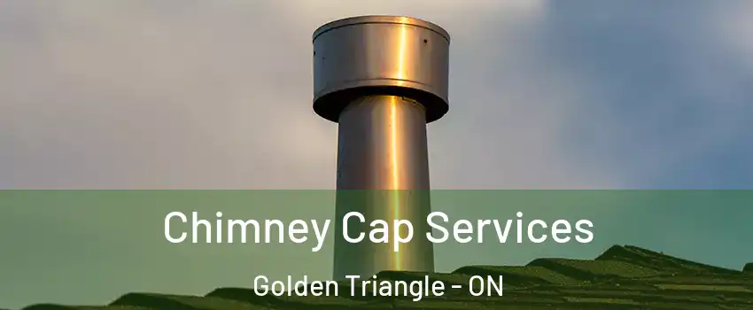  Chimney Cap Services Golden Triangle - ON