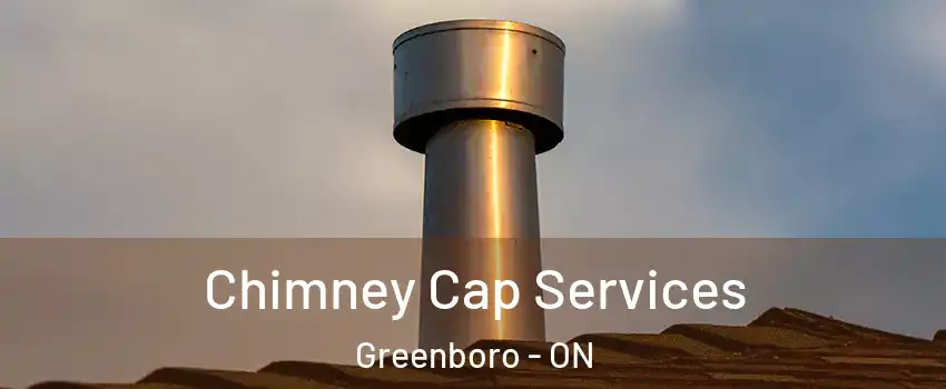  Chimney Cap Services Greenboro - ON