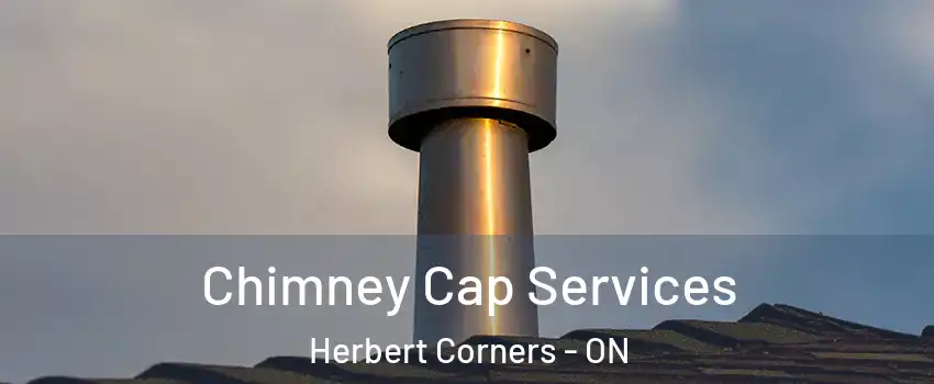  Chimney Cap Services Herbert Corners - ON