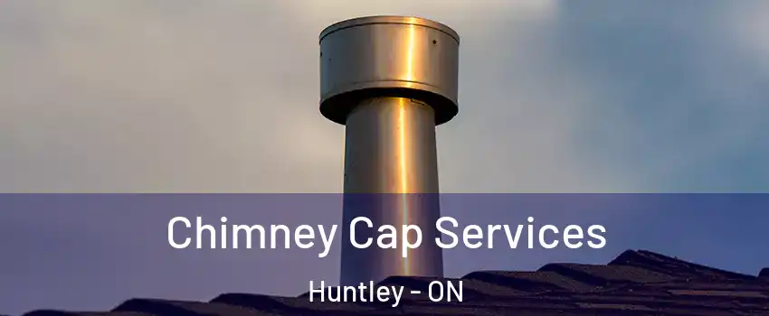  Chimney Cap Services Huntley - ON