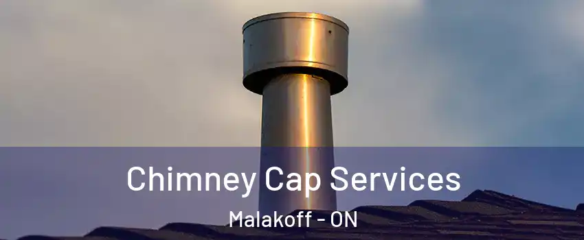  Chimney Cap Services Malakoff - ON