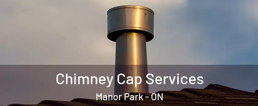  Chimney Cap Services Manor Park - ON