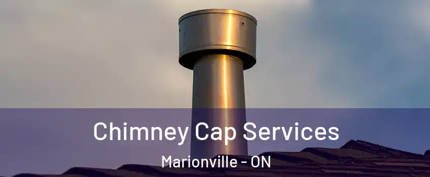  Chimney Cap Services Marionville - ON