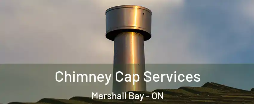  Chimney Cap Services Marshall Bay - ON