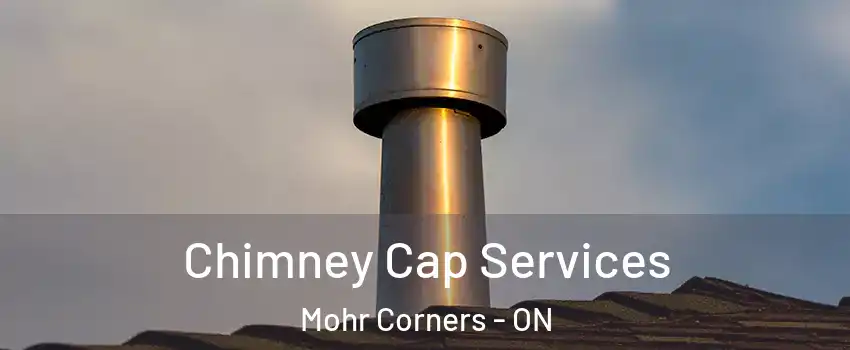  Chimney Cap Services Mohr Corners - ON