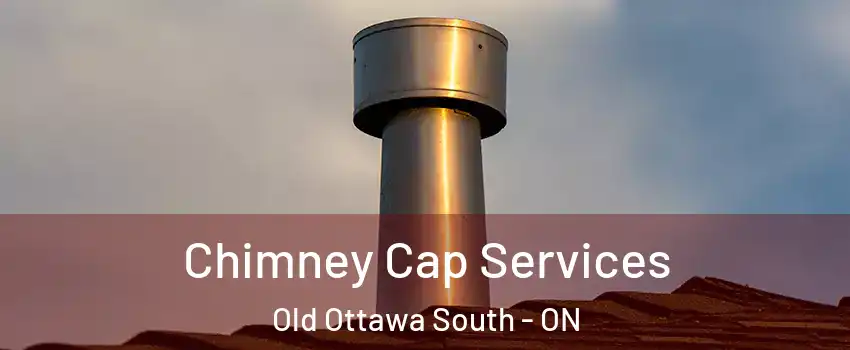  Chimney Cap Services Old Ottawa South - ON