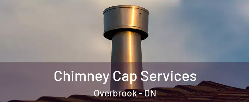  Chimney Cap Services Overbrook - ON