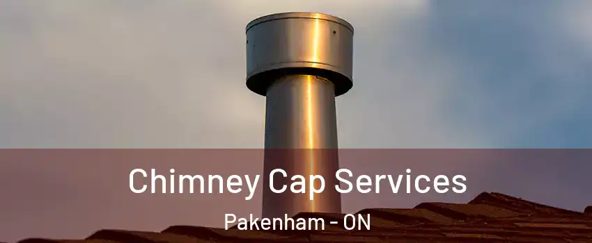  Chimney Cap Services Pakenham - ON