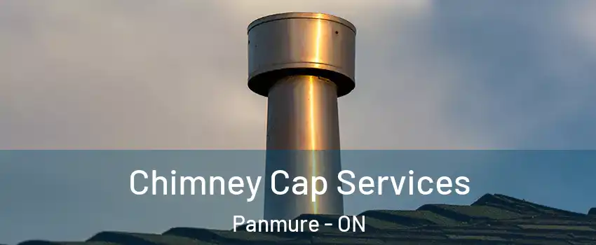  Chimney Cap Services Panmure - ON