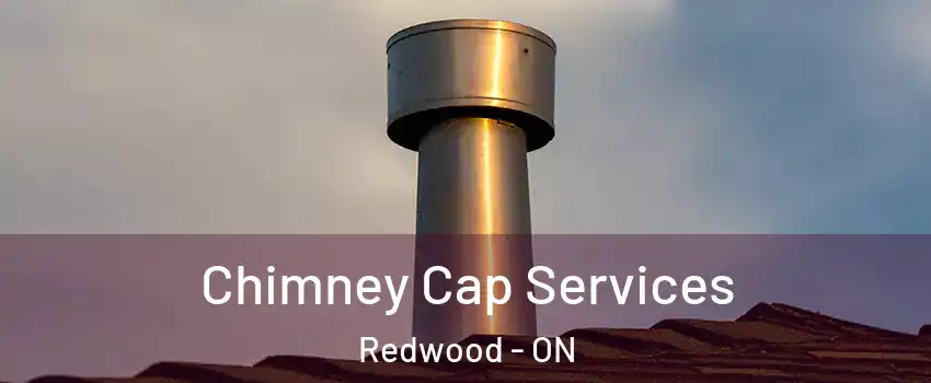  Chimney Cap Services Redwood - ON