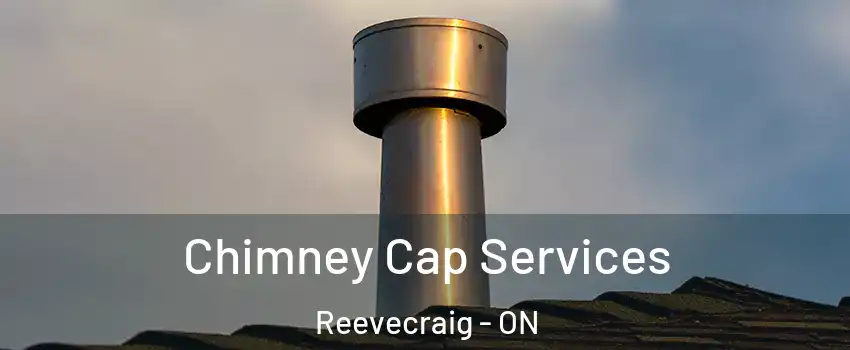  Chimney Cap Services Reevecraig - ON