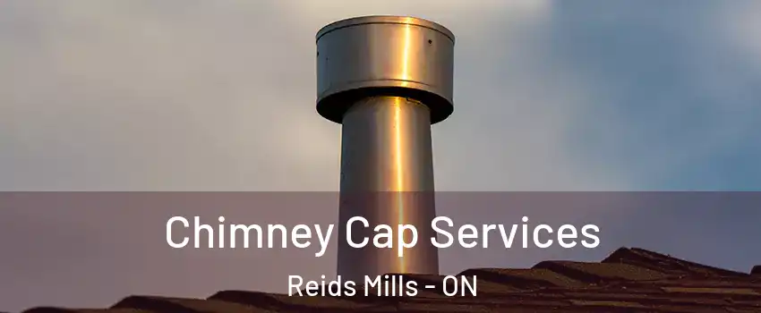  Chimney Cap Services Reids Mills - ON