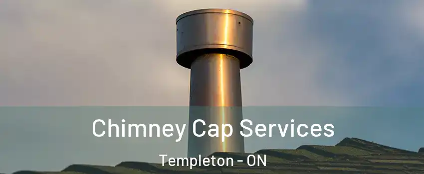  Chimney Cap Services Templeton - ON