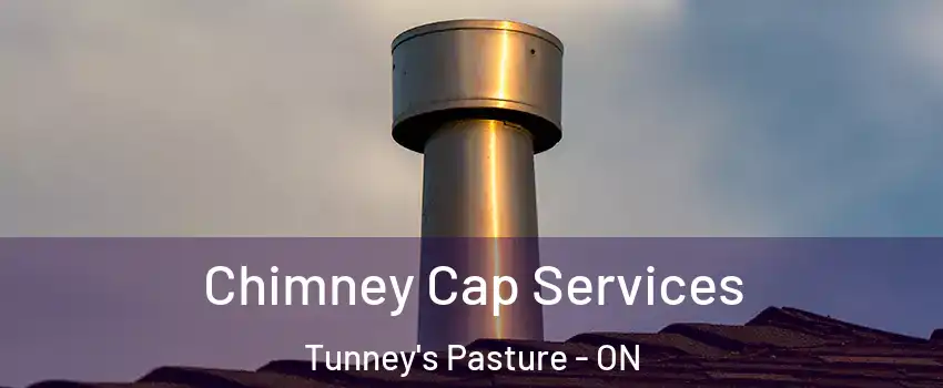  Chimney Cap Services Tunney's Pasture - ON