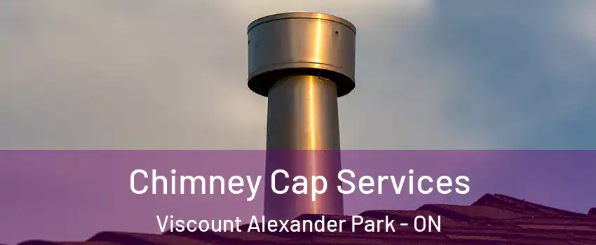  Chimney Cap Services Viscount Alexander Park - ON