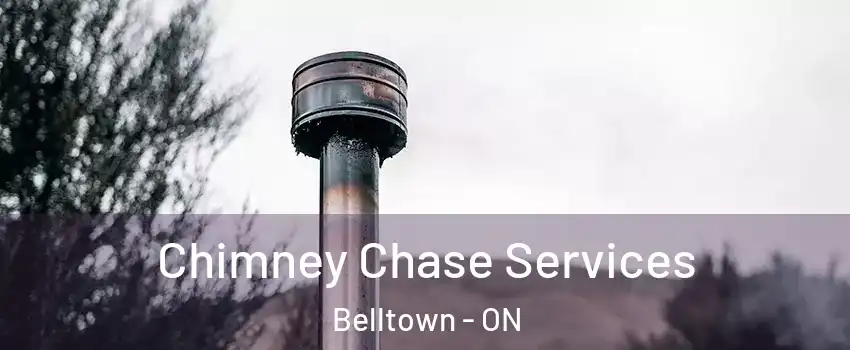  Chimney Chase Services Belltown - ON