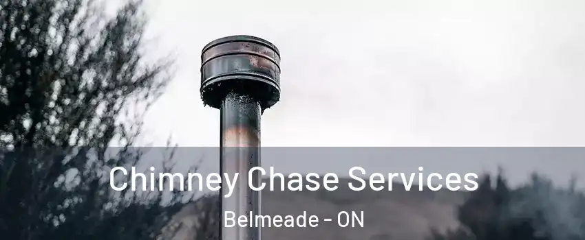  Chimney Chase Services Belmeade - ON