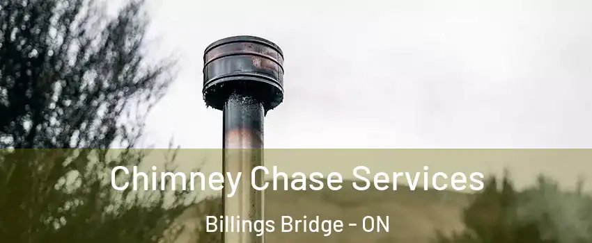  Chimney Chase Services Billings Bridge - ON