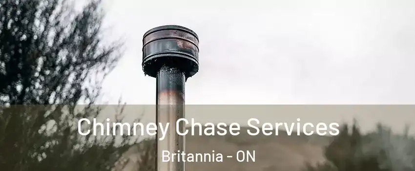  Chimney Chase Services Britannia - ON