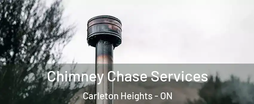  Chimney Chase Services Carleton Heights - ON