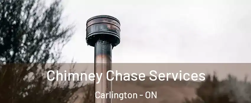  Chimney Chase Services Carlington - ON