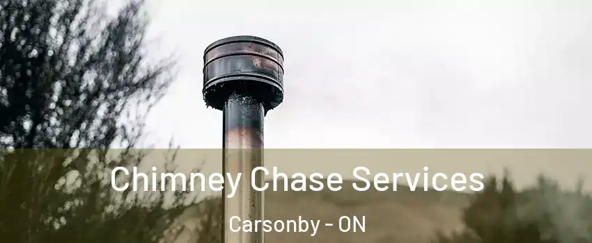  Chimney Chase Services Carsonby - ON