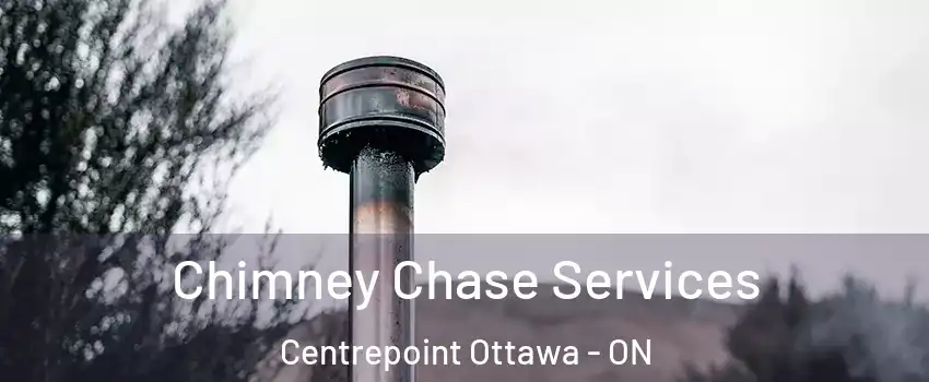  Chimney Chase Services Centrepoint Ottawa - ON