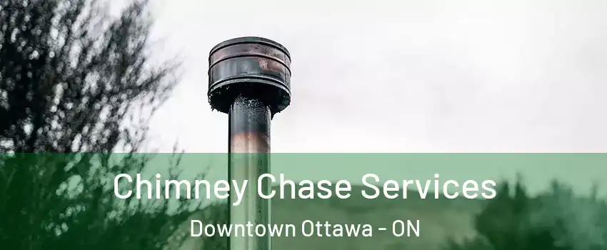  Chimney Chase Services Downtown Ottawa - ON