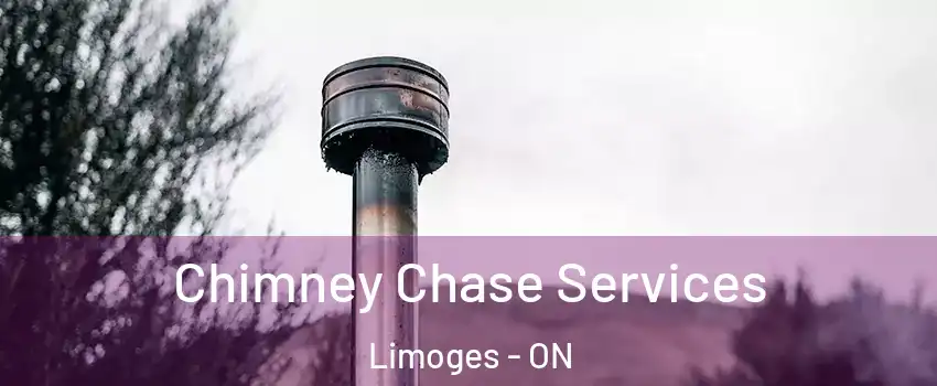  Chimney Chase Services Limoges - ON