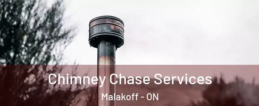  Chimney Chase Services Malakoff - ON