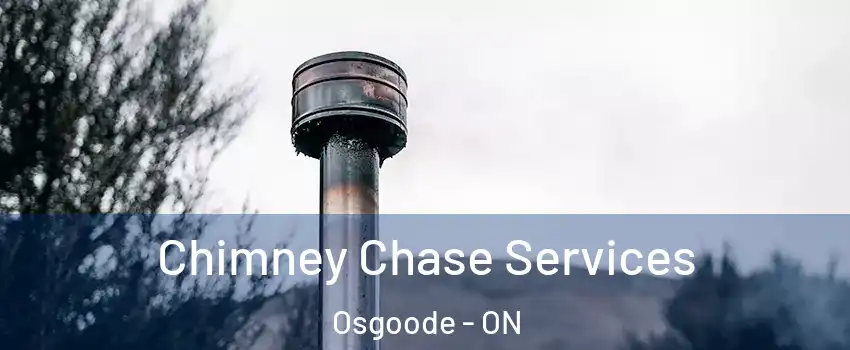  Chimney Chase Services Osgoode - ON