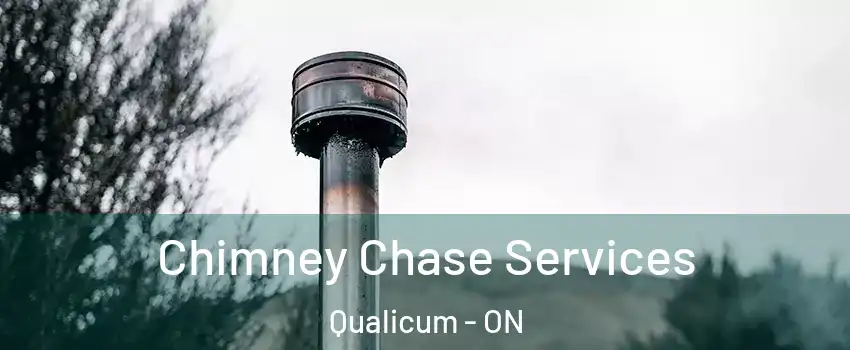  Chimney Chase Services Qualicum - ON