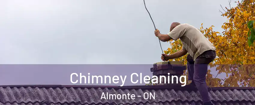  Chimney Cleaning Almonte - ON