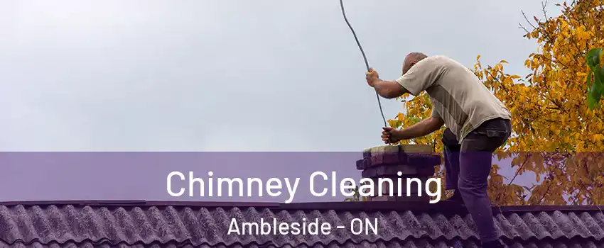  Chimney Cleaning Ambleside - ON