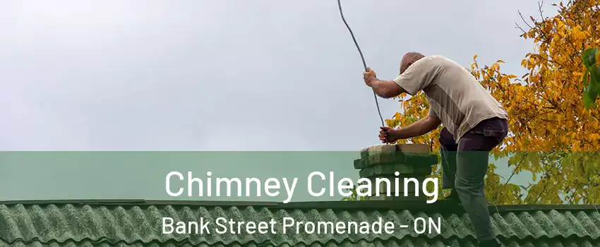  Chimney Cleaning Bank Street Promenade - ON