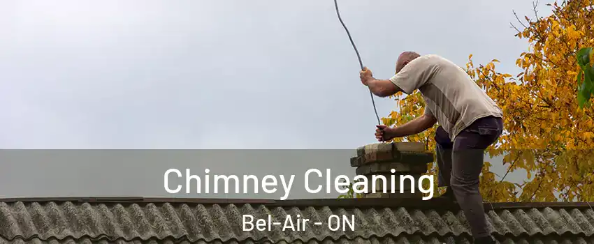  Chimney Cleaning Bel-Air - ON