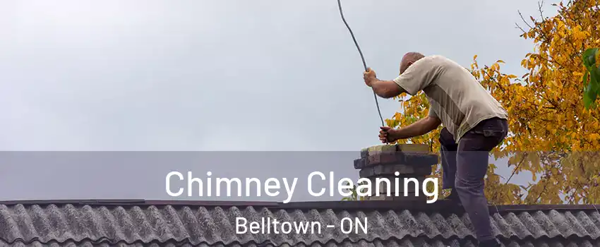  Chimney Cleaning Belltown - ON