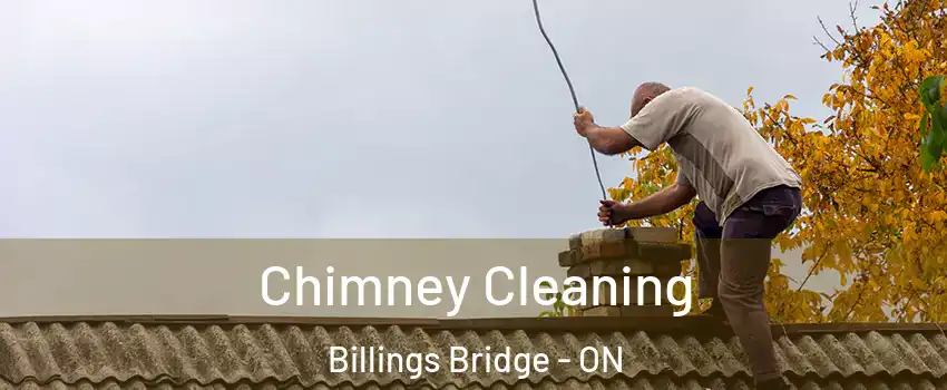  Chimney Cleaning Billings Bridge - ON