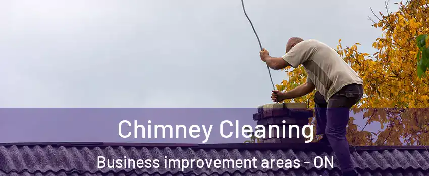  Chimney Cleaning Business improvement areas - ON