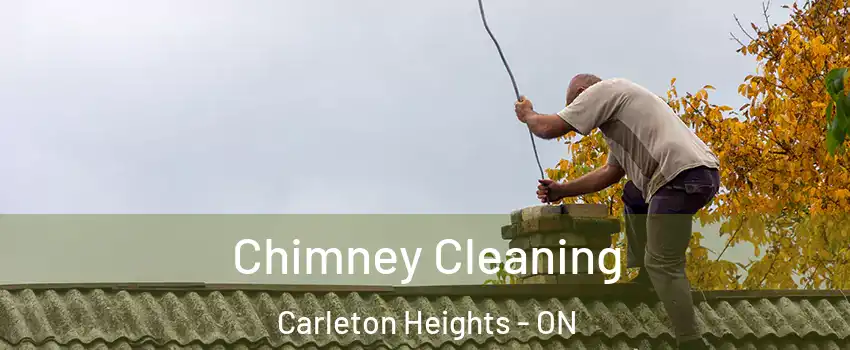  Chimney Cleaning Carleton Heights - ON