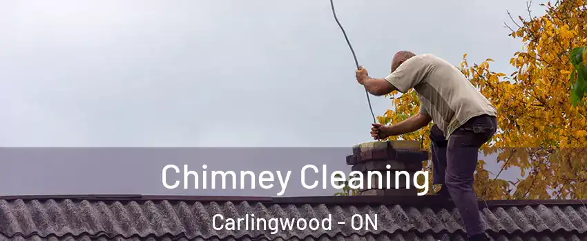  Chimney Cleaning Carlingwood - ON