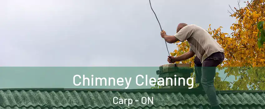  Chimney Cleaning Carp - ON