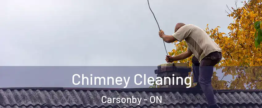  Chimney Cleaning Carsonby - ON